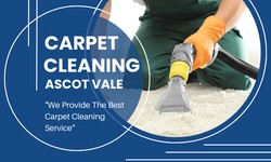 Elevate Your Home's Comfort: The Connection Between Clean Carpets and Cozy Living in Ascot Vale