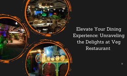 Elevate Your Dining Experience: Unraveling the Delights at Veg Restaurant