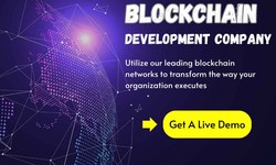 Innovative Solutions: How Blockchain Development Companies are Reshaping Business Processes
