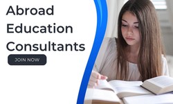 The Dos and Don'ts of Working with Abroad Education Consultants