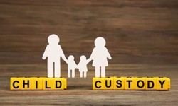The Legal Roadmap: Step-by-Step with Indianapolis Child Custody Attorneys