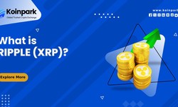 What is  Ripple (XRP)?