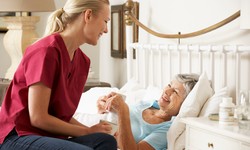 The Role of Elder Care Hospice Services in Terminal Illness Care