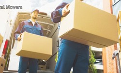 San Jose Movers: local experts in moving