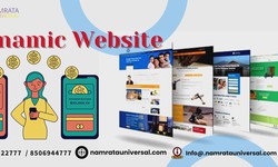 A Dynamic Website Development Company in Delhi