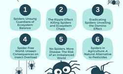 The Catastrophic Consequences of Eradicating Spiders