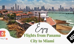 Flights From Panama City to Miami- Affordable Journeys
