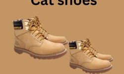 Strut in Style: Cat Shoes Price in Pakistan for Every Budget