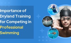 Importance of Dryland Training for Competing in Professional Swimming