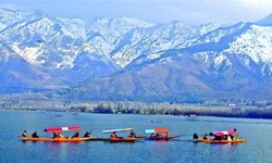 Tips To Choose The Best Kashmir Tour Packages