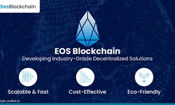 EOS Blockchain | A Beginner’s Guide to DApp Development