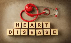 Navigating Heart Disease Treatment Options