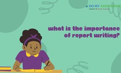 What is the importance of report writing