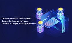 Choose The Best White-label Crypto Exchange Software to Start a Crypto Trading Business