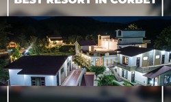 Discover Serenity at The Tiger Groove Resort in Corbett