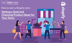 How to start a Shopify store: Setting a goal and choosing product ideas for your store