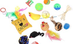 Keeping Your Cat Active and Happy: Top Toys and Enrichment Ideas