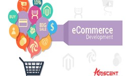 Online Success: Unveiling the Best Ecommerce Development Practices