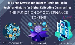 NFTs and Governance Tokens: Participating in Decision-Making for Digital Collectible Communities