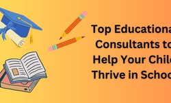 Top Educational Consultants to Help Your Child Thrive in School