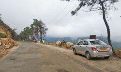 A Comprehensive Car Rental Guide with a Spotlight on Car Rental in Coorg
