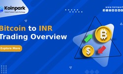 Bitcoin to INR Trading Overview