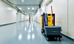 Sparkling Spaces: Elevate Your Business with a Professional Commercial Cleaning Service