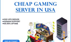 Powerful Dedicated Gaming Servers in USA | Elevate Your Gameplay Experience