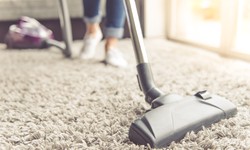 Preventing Damage: When and Why Carpet Restretching Is Necessary