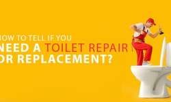 How to Tell if You Need a Toilet Repair or Replacement?