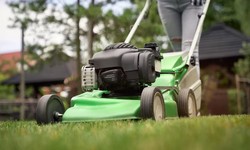 Enhancing Your Green Oasis: The Crucial Role of Aeration in Landscaping and Professional Lawn Mowing Services