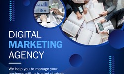 How digital marketing helps grow your business?
