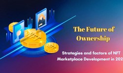 The Future of Ownership - Strategies and factors of NFT Marketplace Development in 2024