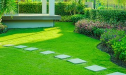 What Are The Benefits Of Hiring Landscape Contractors in Mississauga