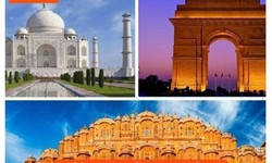 Are Golden Triangle Tour Packages the Best Way to Explore India's Rich Heritage?