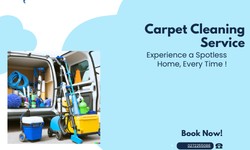 Eco-Friendly Carpet Cleaning: Safe Solutions for Your Home