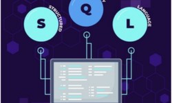 Top SQL Queries Every Data Analyst Should Master