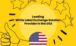 Leading White Label Crypto Exchange Solution Provider in the USA