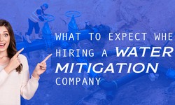 What to Expect When Hiring a Water Mitigation Company