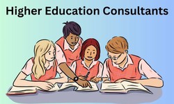 How Higher Education Consultants Assist Students with Academic Challenges