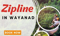 Soar to New Heights: Ziplining in Wayanad Offers Adventures