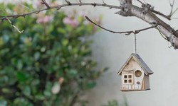 Unlocking Your Dream Home with Home Loans Crows Nest