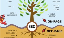 Mastering the Art of SEO: Unveiling the Power of On-Page and Off-Page Optimization