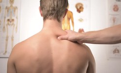 My Back Pain Coach Review- Read before you buy