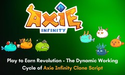 Play to Earn Revolution - The Dynamic Working Cycle of Axie Infinity Clone Script