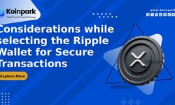 Considerations while selecting the Ripple Wallet for Secure Transactions