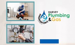The Vital Role of Commercial Plumbing Systems in Your Business