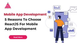 5 Reasons To Choose ReactJS For Mobile App Development