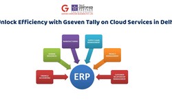 Unlock Efficiency with Gseven Tally on Cloud Services in Delhi - Gseven