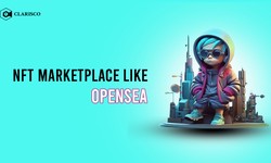 What Are the Essential Factors for Success in an Open-Sea Clone Script